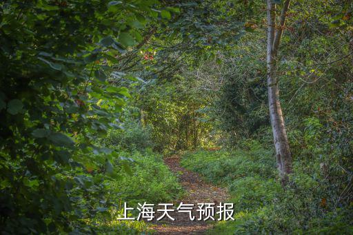 上海天氣預報