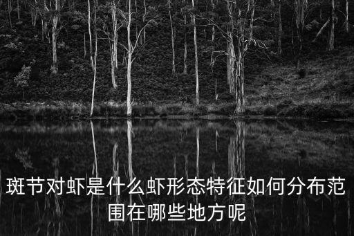 上海市場現在斑節王草蝦價格，一只斑節蝦多少克