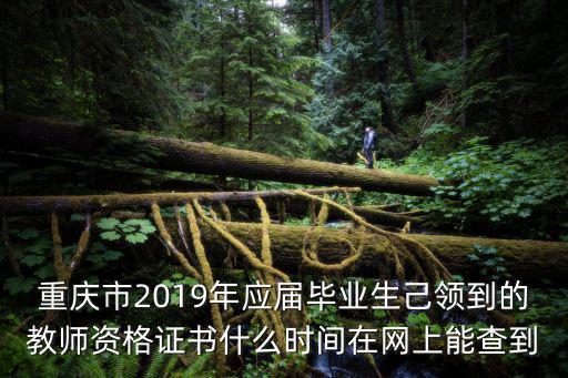 重慶市2019年應(yīng)屆畢業(yè)生己領(lǐng)到的教師資格證書什么時間在網(wǎng)上能查到
