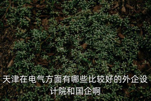 天津在電氣方面有哪些比較好的外企設計院和國企啊