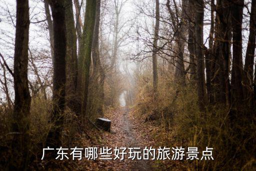 廣東有哪些好玩的旅游景點(diǎn)
