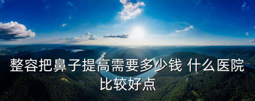 整容把鼻子提高需要多少錢 什么醫(yī)院比較好點