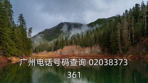 廣州電話號碼查詢 02038373361