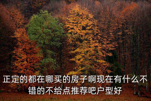 正定的都在哪買的房子啊現在有什么不錯的不給點推薦吧戶型好