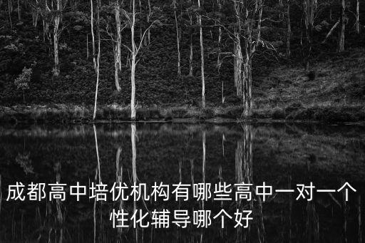 成都高中培優機構有哪些高中一對一個性化輔導哪個好