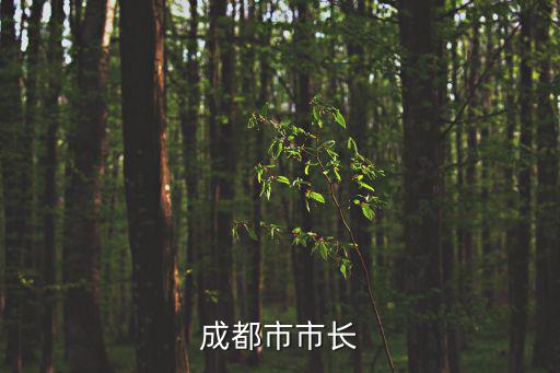 成都市市長