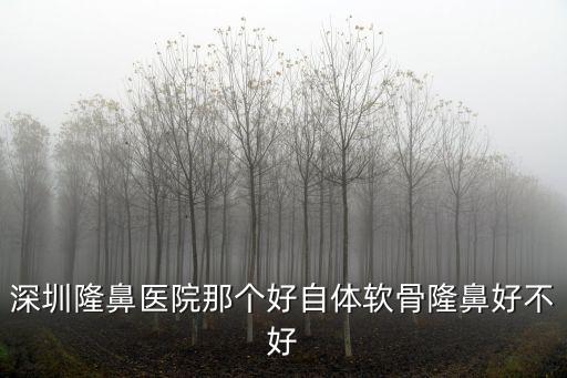 深圳隆鼻醫(yī)院那個(gè)好自體軟骨隆鼻好不好