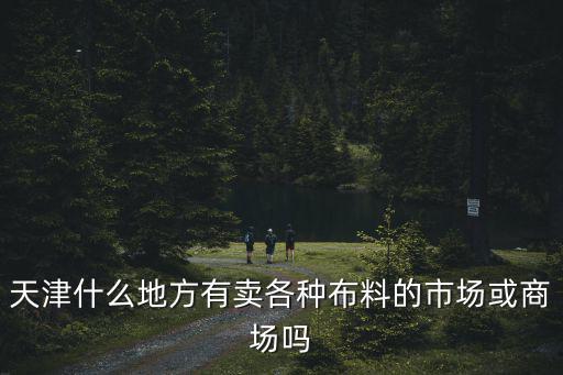 天津什么地方有賣各種布料的市場或商場嗎