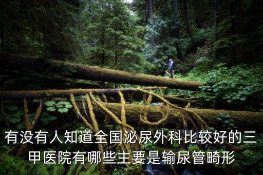 有沒有人知道全國泌尿外科比較好的三甲醫院有哪些主要是輸尿管畸形