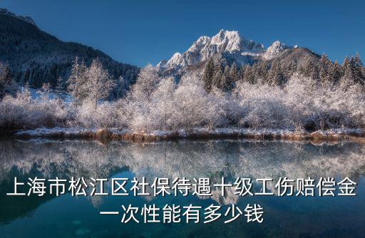 上海市松江區社保待遇十級工傷賠償金一次性能有多少錢