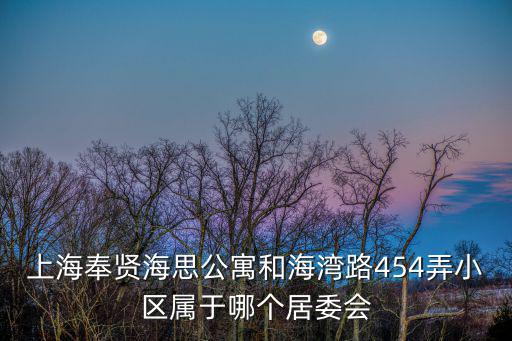 上海奉賢海思公寓和海灣路454弄小區(qū)屬于哪個(gè)居委會(huì)
