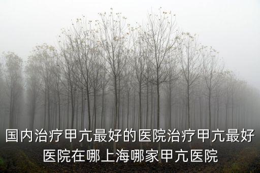 國(guó)內(nèi)治療甲亢最好的醫(yī)院治療甲亢最好醫(yī)院在哪上海哪家甲亢醫(yī)院