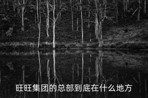旺旺集團的總部到底在什么地方