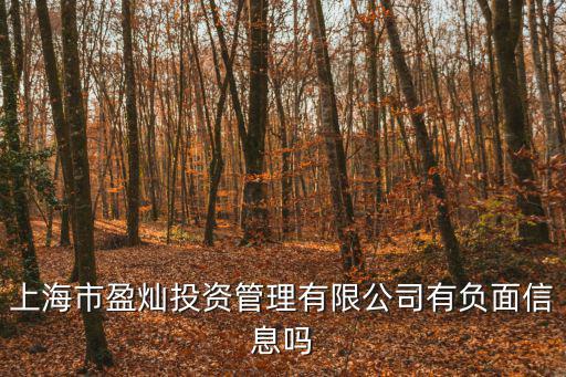 上海市盈燦投資管理有限公司有負面信息嗎