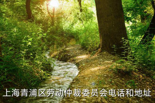 上海青浦區勞動仲裁委員會電話和地址