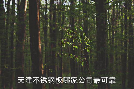 天津不銹鋼板哪家公司最可靠