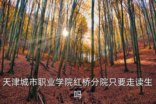 天津市職業學院紅橋，天津城市職業學院紅橋分校的詳細地址