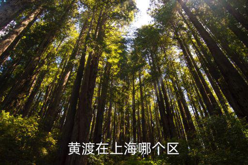 黃渡在上海哪個區