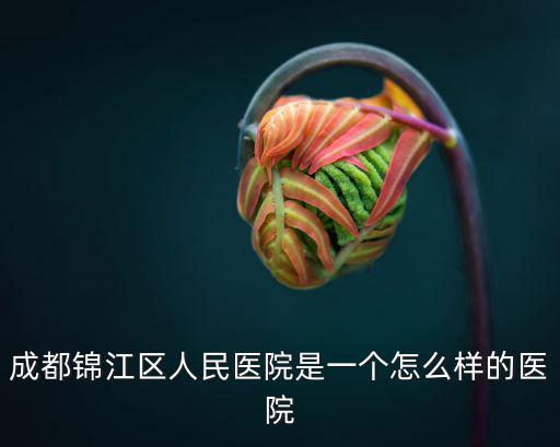 成都市錦一醫院是幾級醫院，成都錦江區人民醫院是一個什么級別的醫院