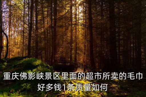重慶市丹絨，重慶佛影峽景區(qū)里面的超市所賣的毛巾好多錢1條質(zhì)量如何
