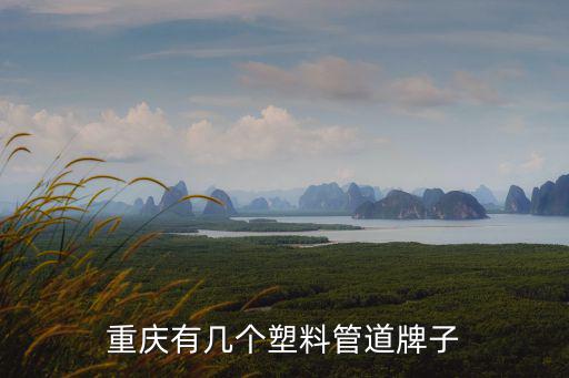 重慶市面上水管用什么牌子，重慶美地漏大家都在用啥牌子的
