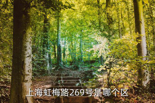 上海虹梅路269號是哪個區(qū)
