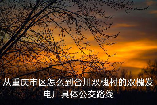 從重慶市區(qū)怎么到合川雙槐村的雙槐發(fā)電廠具體公交路線