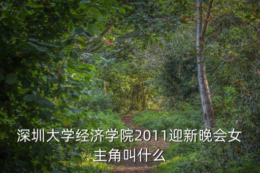 深圳大學經濟學院2011迎新晚會女主角叫什么