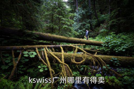 kswiss廣州哪里有得賣