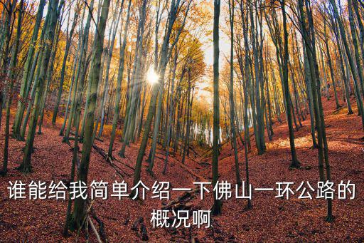 誰能給我簡單介紹一下佛山一環(huán)公路的概況啊