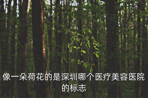 像一朵荷花的是深圳哪個醫療美容醫院的標志
