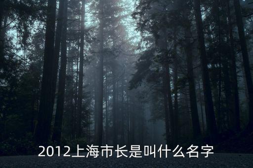 2012上海市長是叫什么名字