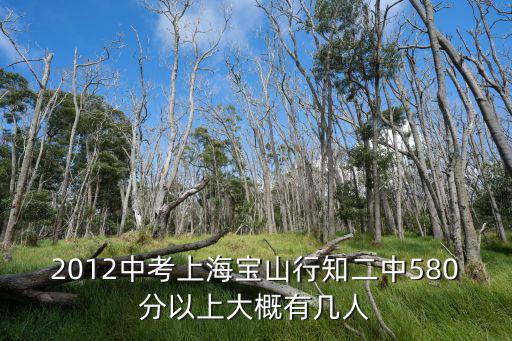 2012中考上海寶山行知二中580分以上大概有幾人
