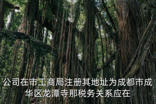 公司在市工商局注冊其地址為成都市成華區龍潭寺那稅務關系應在