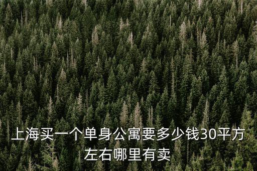 上海買一個單身公寓要多少錢30平方左右哪里有賣