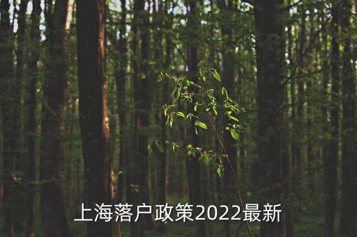 上海落戶政策2022最新