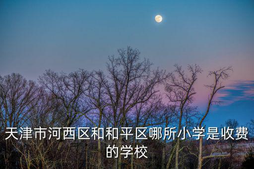天津市河西區和和平區哪所小學是收費的學校