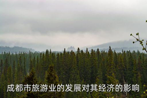 成都市旅游業(yè)對創(chuàng)新，成都市旅游業(yè)的發(fā)展對其經(jīng)濟的影響