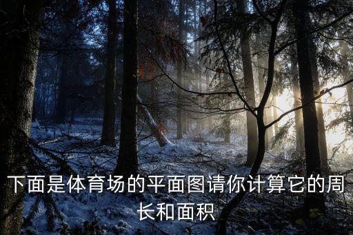 下面是體育場的平面圖請你計算它的周長和面積