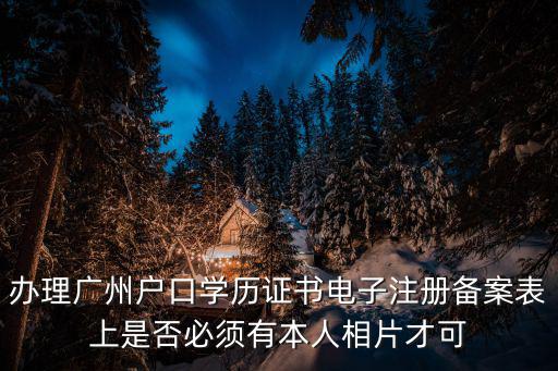 辦理廣州戶口學歷證書電子注冊備案表上是否必須有本人相片才可