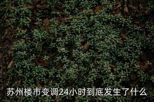 蘇州樓市變調24小時到底發生了什么