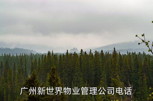 廣州新世界物業管理公司電話