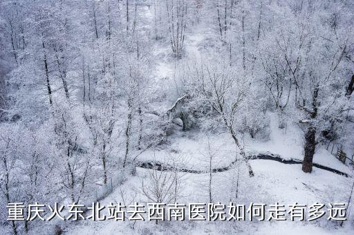 重慶火東北站去西南醫院如何走有多遠