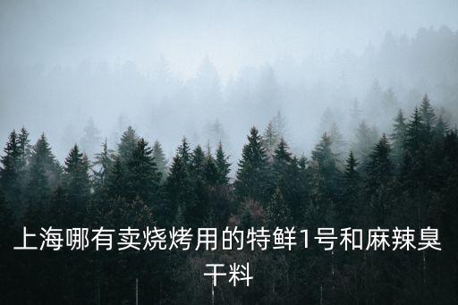 上海哪有賣燒烤用的特鮮1號(hào)和麻辣臭干料