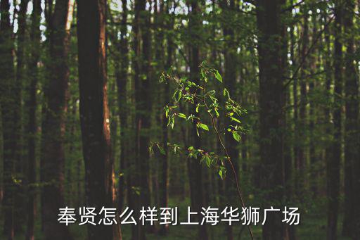 奉賢怎么樣到上海華獅廣場