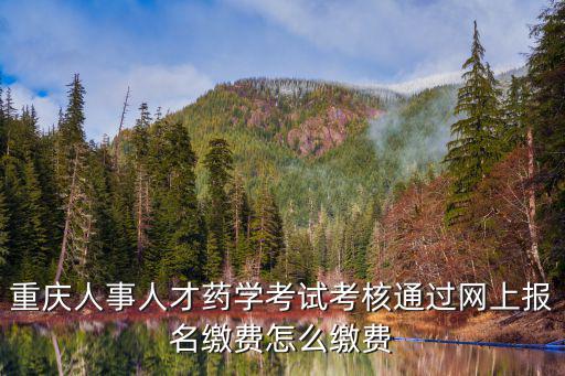 重慶市人事考試中心考試繳費，重慶人事人才藥學考試考核通過網上報名繳費怎么繳費