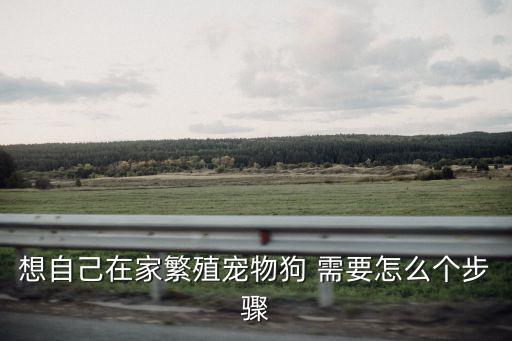 想自己在家繁殖寵物狗 需要怎么個步驟