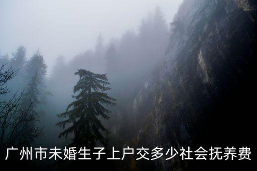 廣州市未婚生子上戶交多少社會撫養(yǎng)費