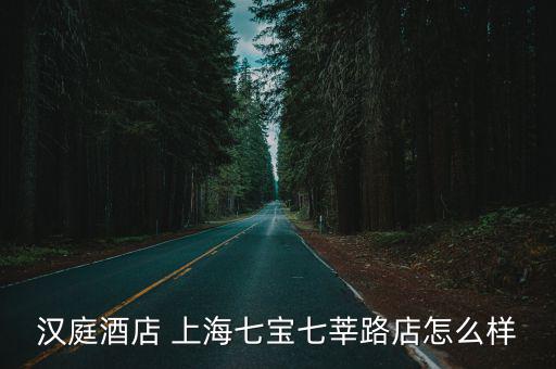 漢庭酒店 上海七寶七莘路店怎么樣