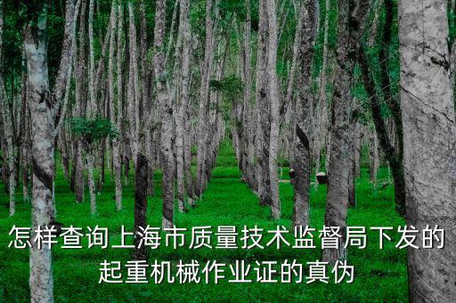 怎樣查詢上海市質量技術監督局下發的起重機械作業證的真偽